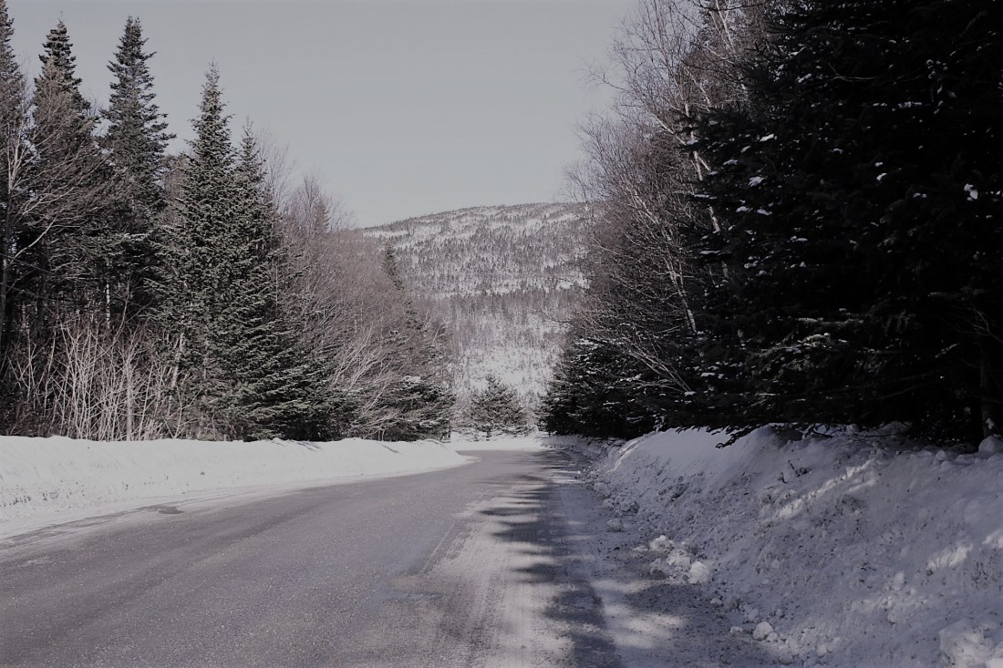 Winter - Carol Hopkins photo