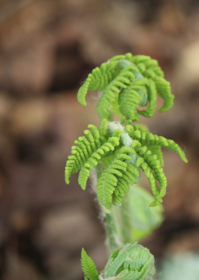 IMG_5120 - Version 2