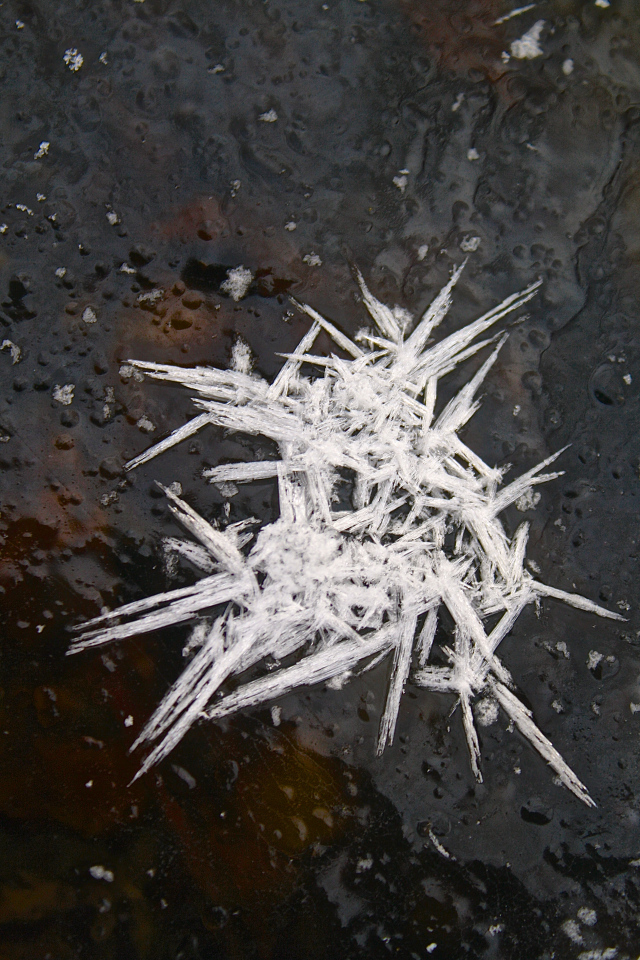 IMG_6791 - Version 2