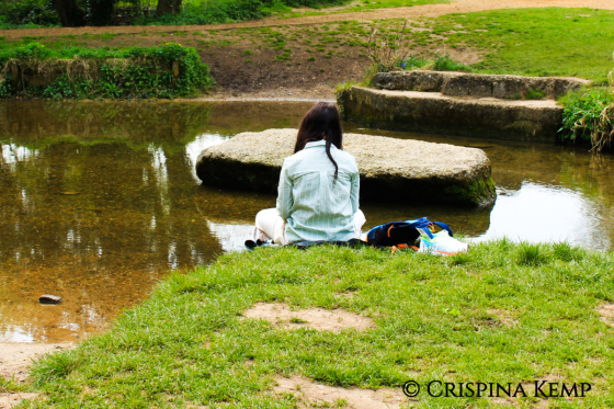 Crimson's creative challenge #25