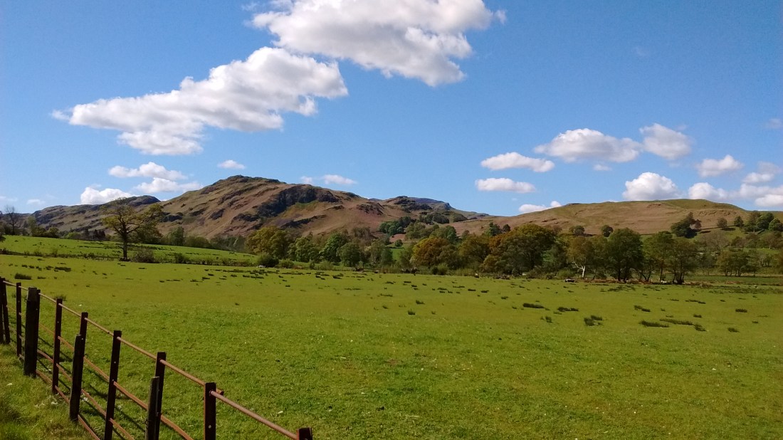 IMG_20190512_104601778