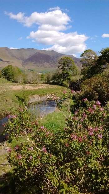 IMG_20190512_105818180