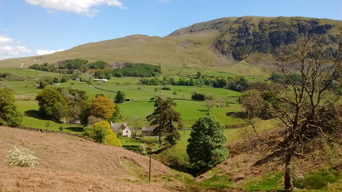 IMG_20190512_134604358