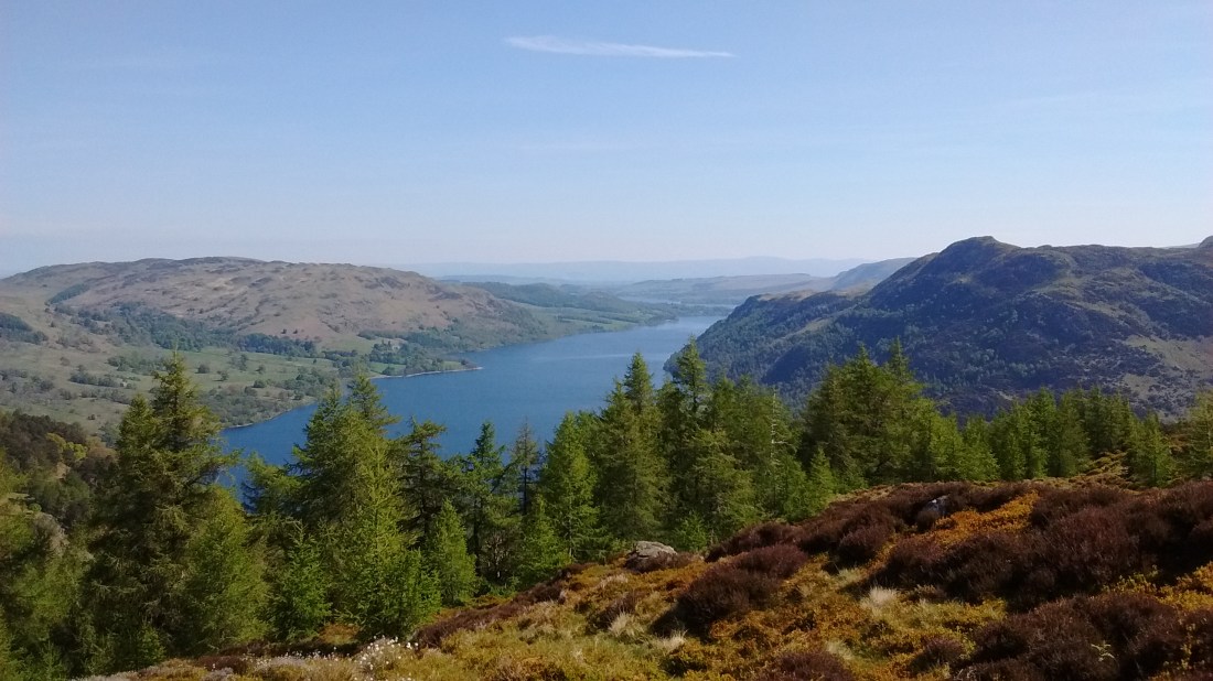 IMG_20190513_105527659