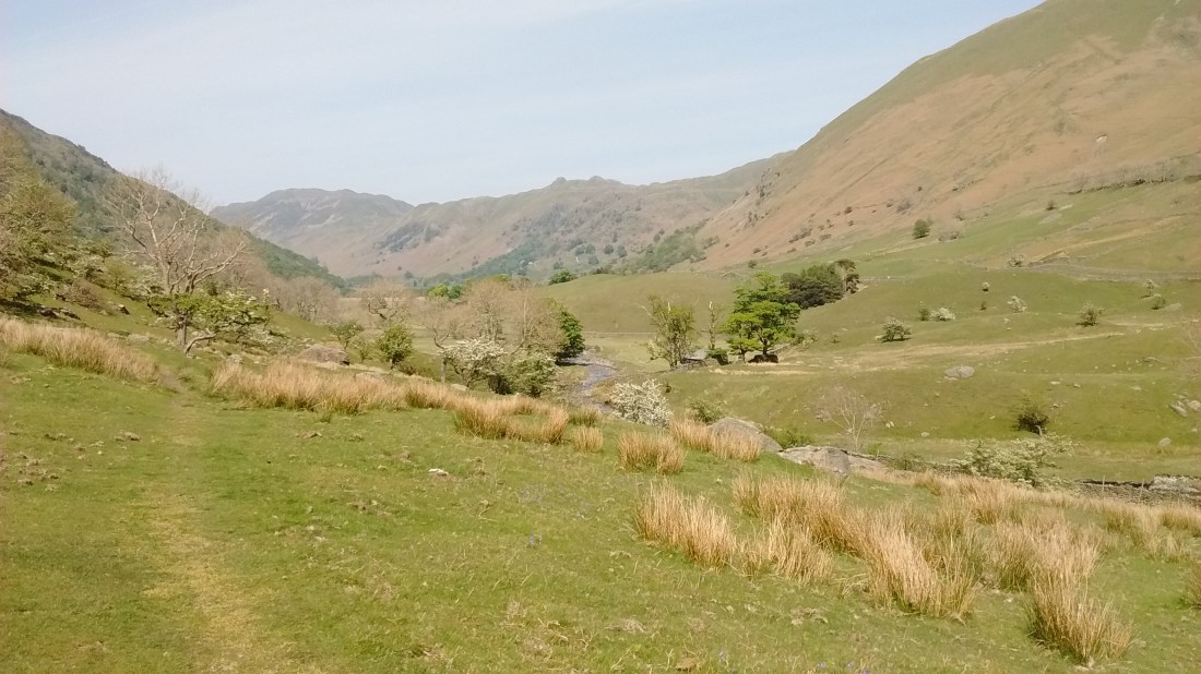 IMG_20190514_154747896