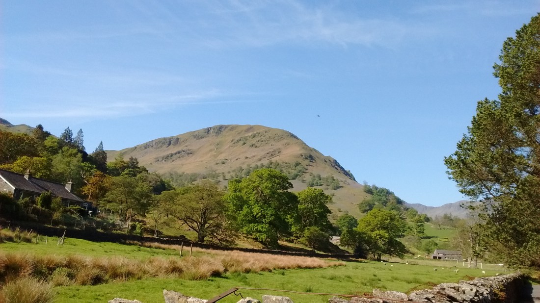 IMG_20190515_101951899