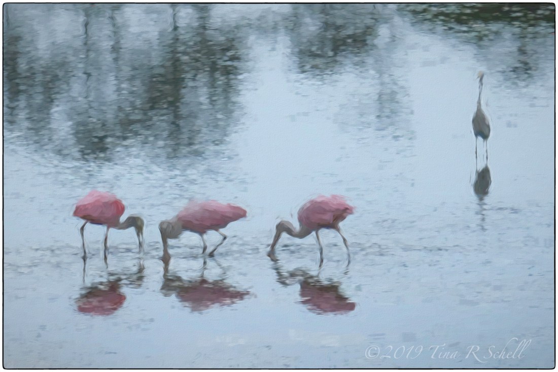 impressionist art - roseate spoonbills