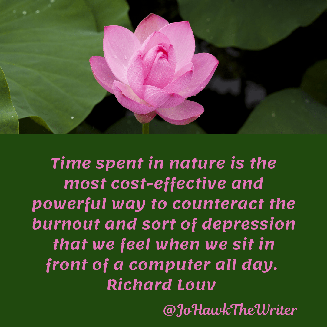 time-spent-in-nature-is-the-most-cost-effective-and-powerful-way-to-counteract-the-burnout-and-sort-of-depression-that-we-feel-when-we-sit-in-front-of-a-computer-all-day.-richard-louv.