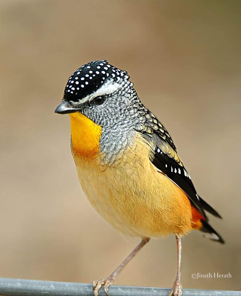 FB_IMG_1591771594203